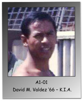 A1-01  David M. Valdez 66  K.I.A.